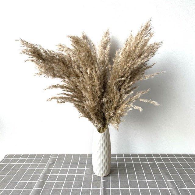 Dried Pampas Grass - EDEN + ASH