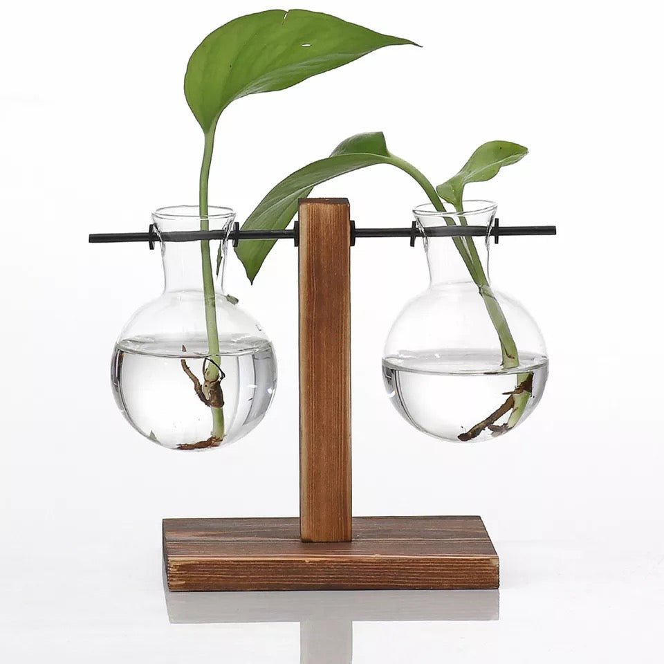 Eryka Hydroponic Standing Vase - EDEN + ASH