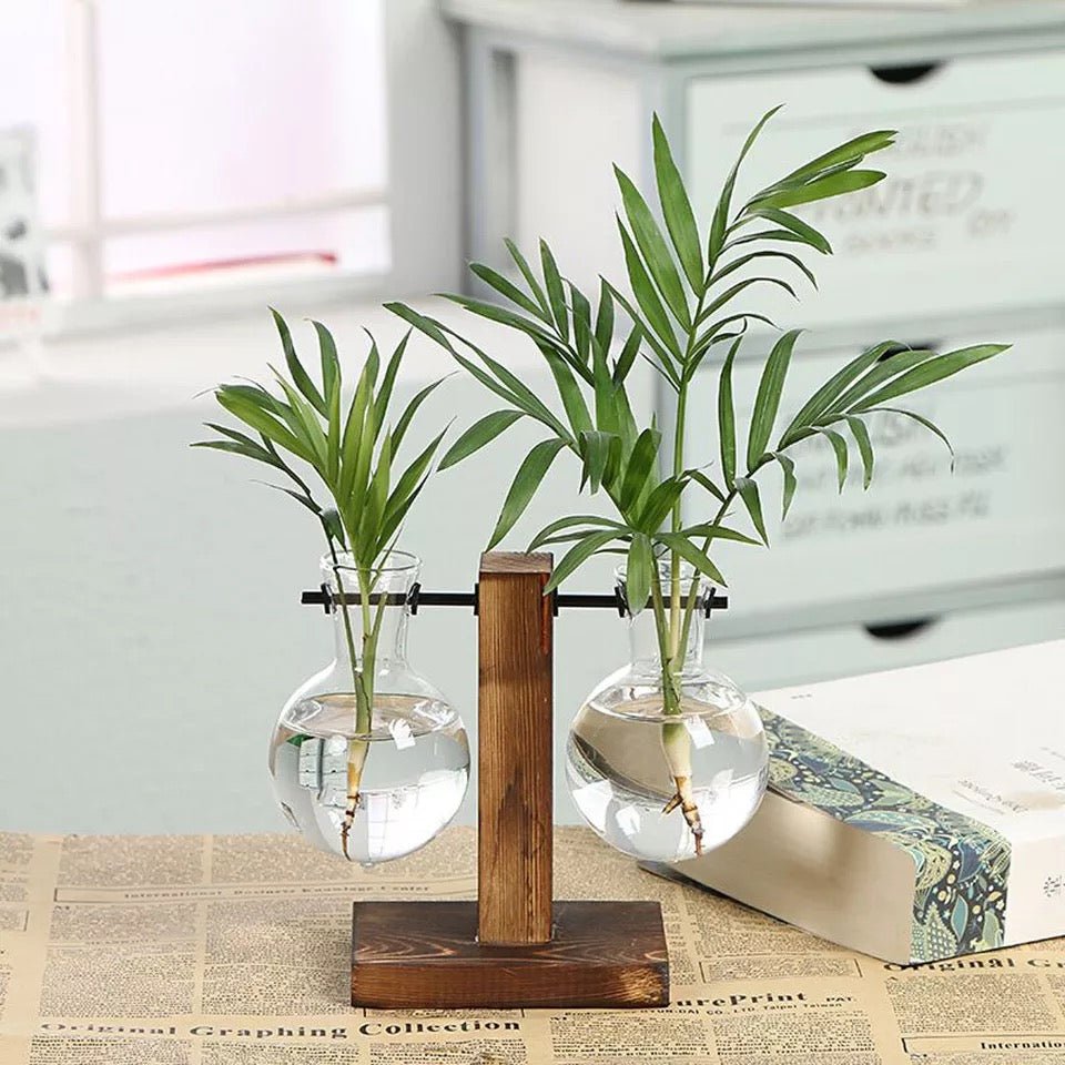 Eryka Hydroponic Standing Vase - EDEN + ASH