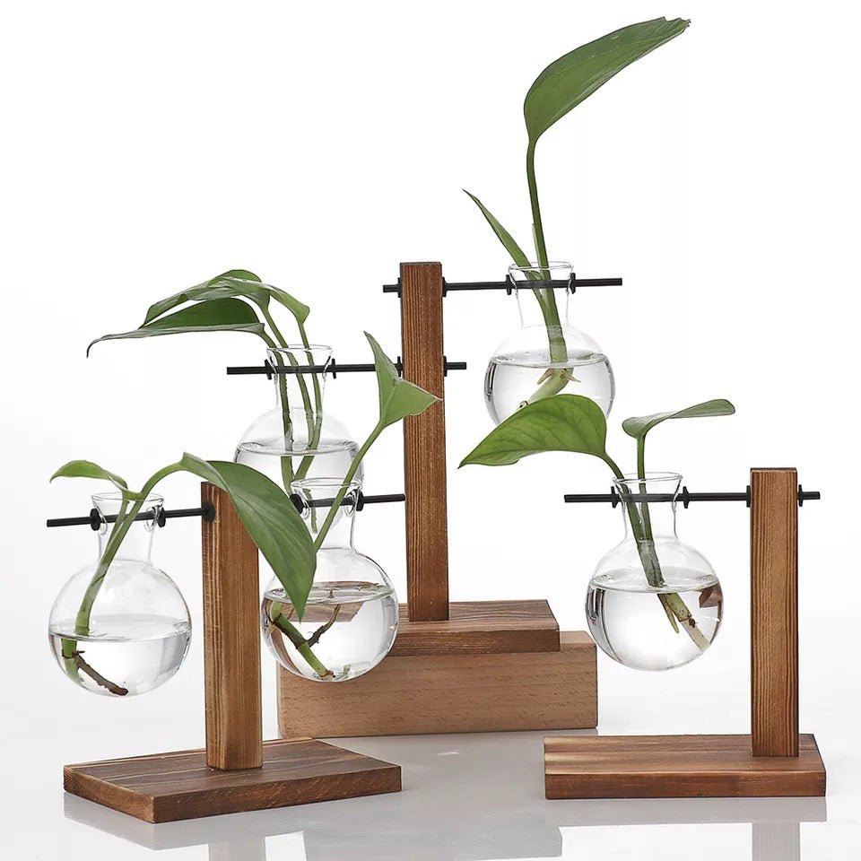 Eryka Hydroponic Standing Vase - EDEN + ASH