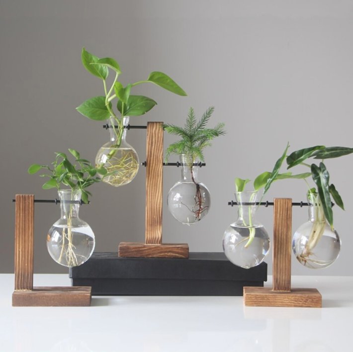 Eryka Hydroponic Standing Vase - EDEN + ASH