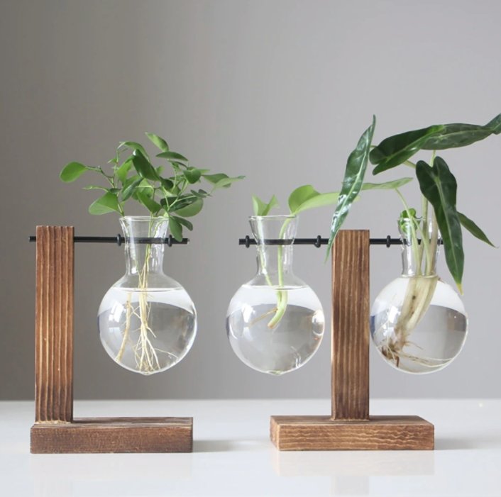 Eryka Hydroponic Standing Vase - EDEN + ASH