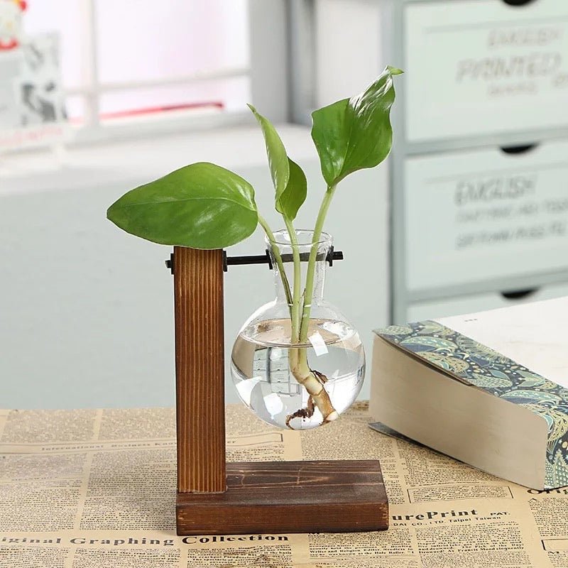 Eryka Hydroponic Standing Vase - EDEN + ASH