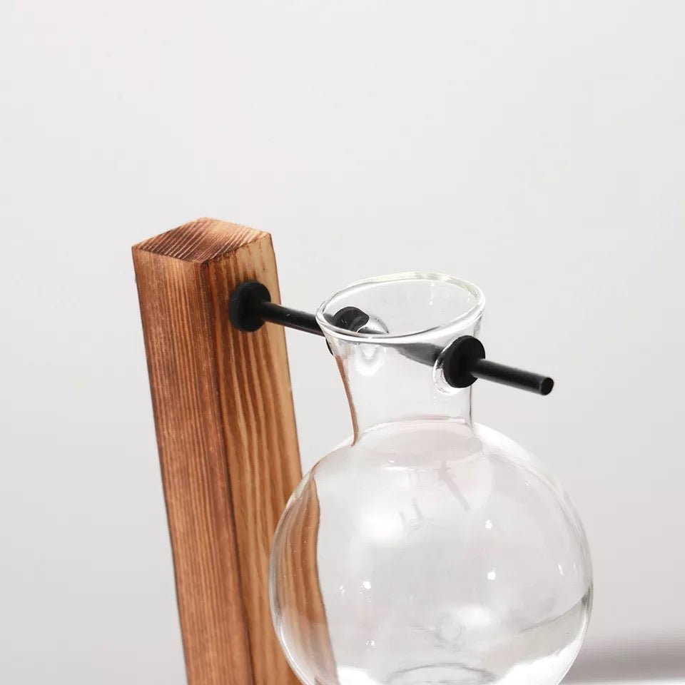 Eryka Hydroponic Standing Vase - EDEN + ASH