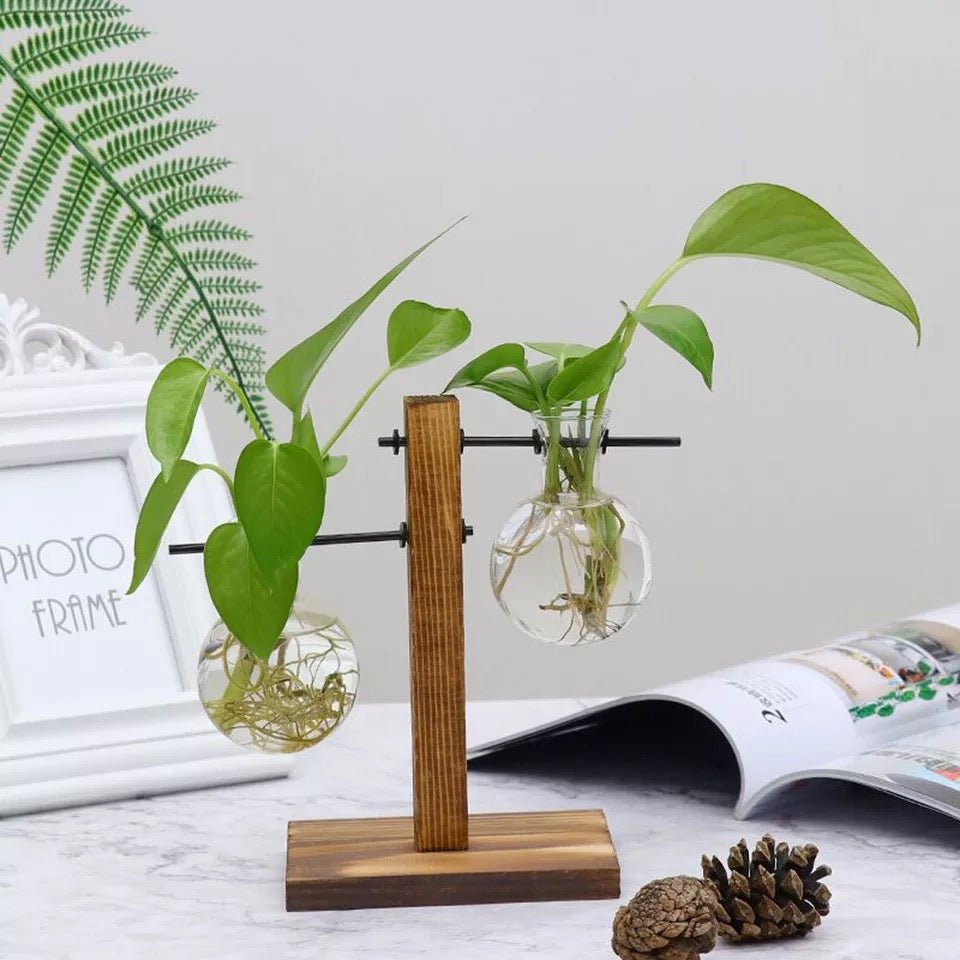 Eryka Hydroponic Standing Vase - EDEN + ASH