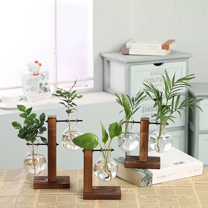 Eryka Hydroponic Standing Vase - EDEN + ASH