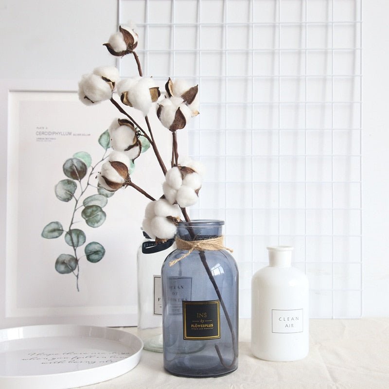 Naturally Dried Cotton Stem - EDEN + ASH